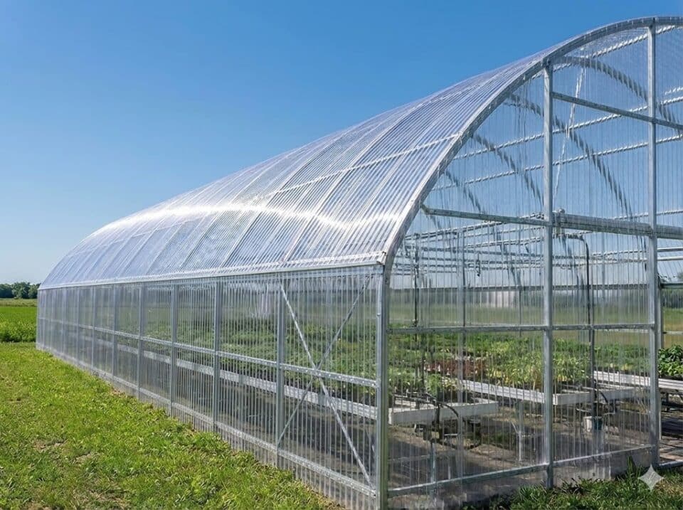 Policarbonato Compacto Ondulado Mini Onda 6 m