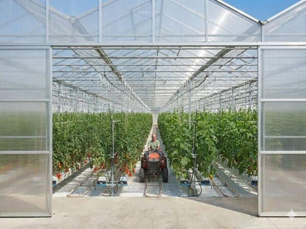 Policarbonato Celular 8 metros