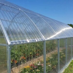 Invernadero arqueado de policarbonato transparente mostrando en su interior hileras de cultivos de hortalizas y flores bajo un cielo despejado.