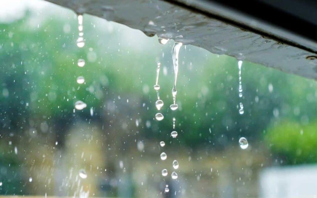 Cómo reducir el ruido en techos de policarbonato durante la lluvia