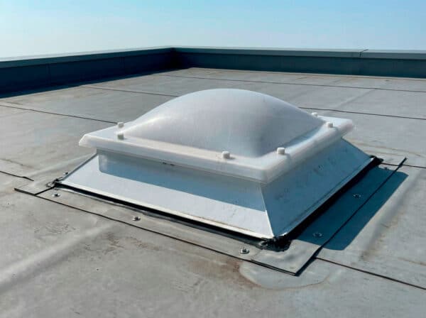 Claraboya Cuadrada bivalva