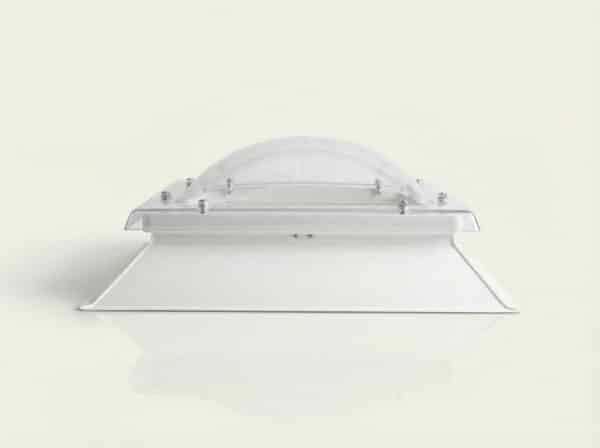 Claraboya Cuadrada bivalva