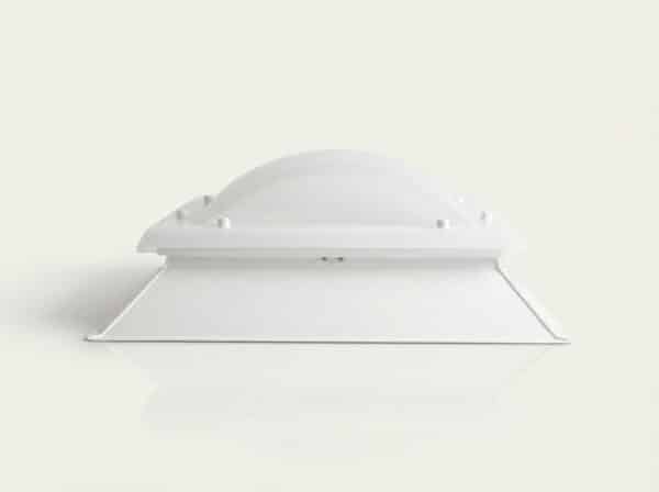 Claraboya Cuadrada bivalva